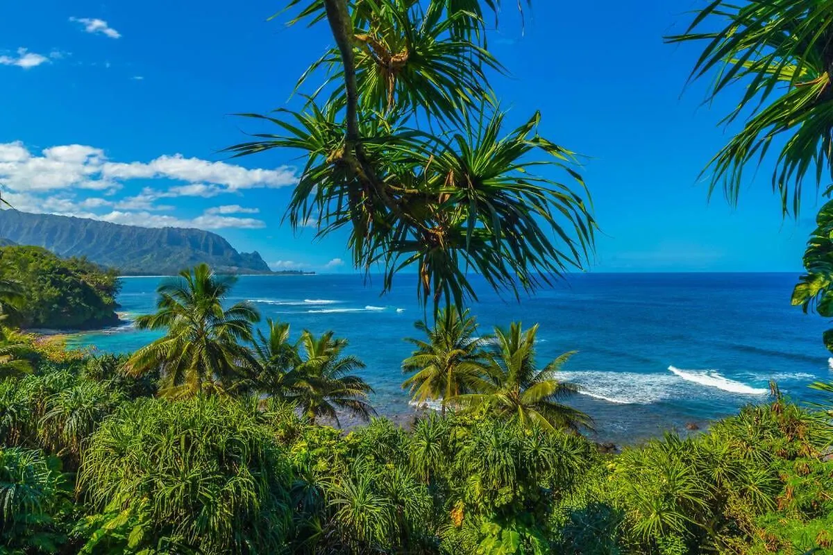 بيت للعطل 1 Bedroom Ocean View Getaway At Pali Ke Kua 108 برينسفيل