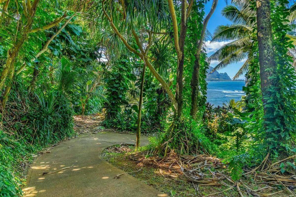 1 Bedroom Ocean View Getaway At Pali Ke Kua 108 برينسفيل بيت للعطل